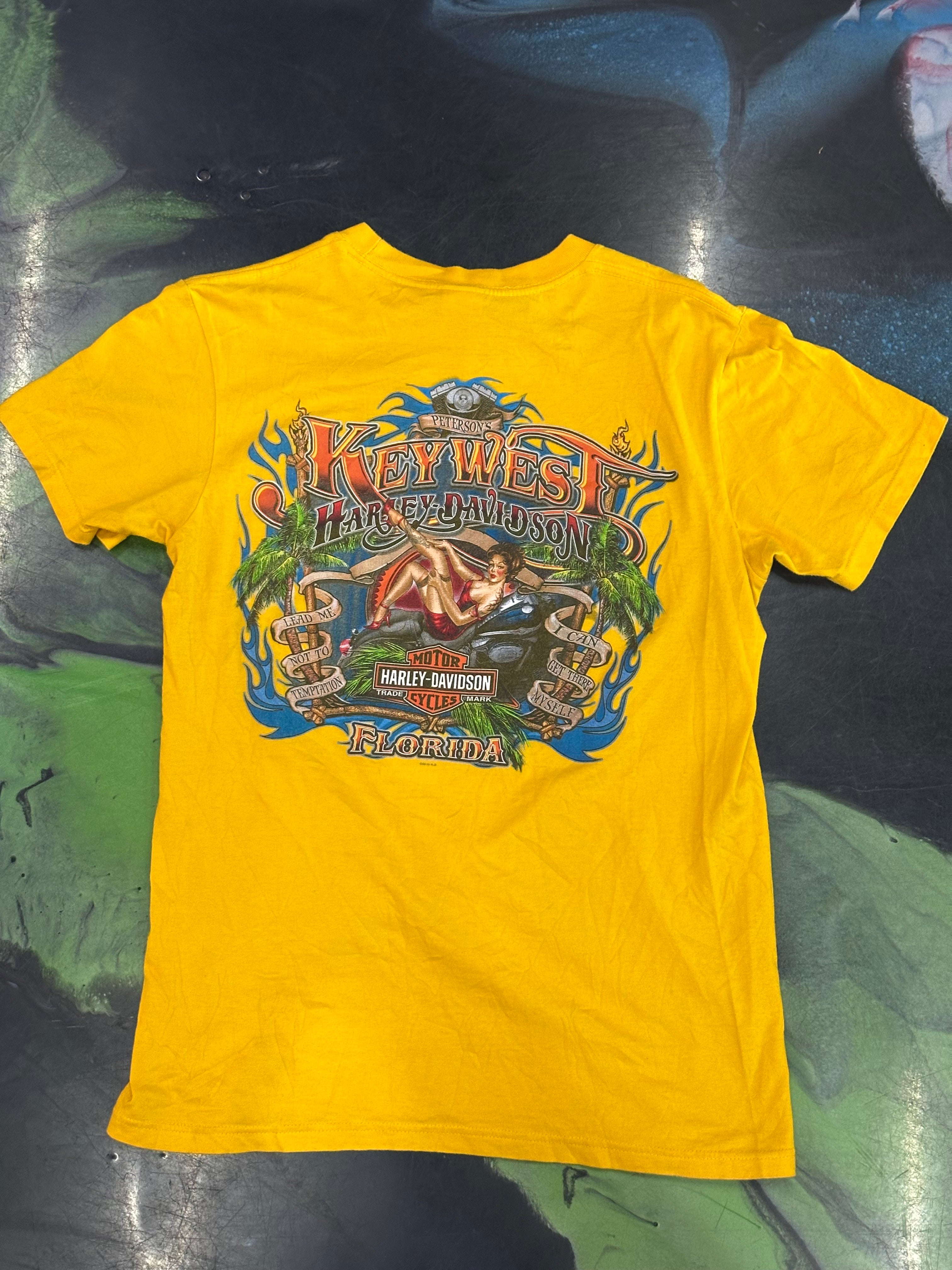 Vintage Harley Davidson Tee Shirt