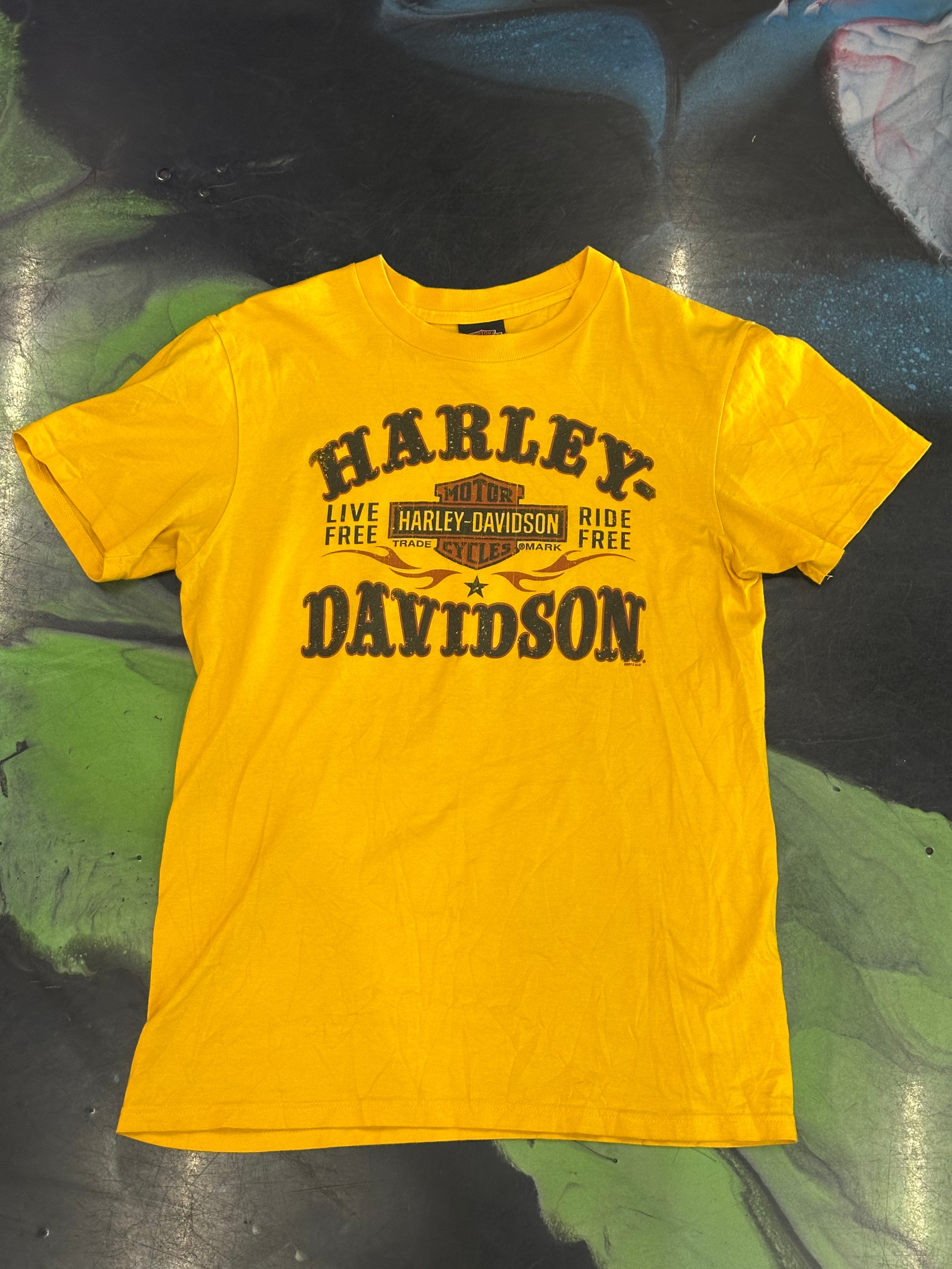 Vintage Harley Davidson Tee Shirt